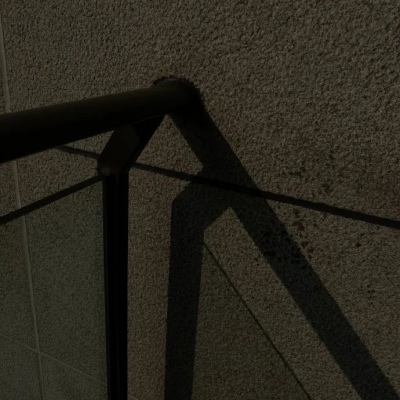 兽设写实风格绘画兽圈群